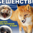 Эпизоотическая ситуация по заболеванию бешенством животных за 2019 год в Удмуртской Республике - Газета Вперед