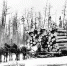 Конобоз – Зарека – Заречный - Газета Вперед
