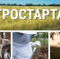 22 БУДУЩИХ ФЕРМЕРА УДМУРТИИ ПОЛУЧИЛИ СЕРТИФИКАТЫ НА ГРАНТЫ «АГРОСТАРТАП-2021» - Газета Вперед